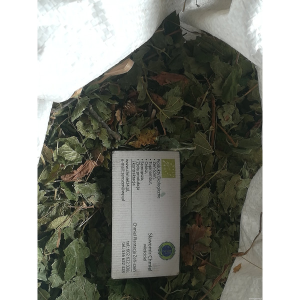 Liść eko czarnej porzeczki 1 kg - hurt- cena do negocjacji